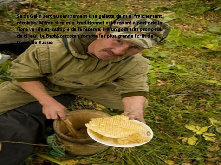 Sabit Galin sert au campement une galette de miel fraîchement récoltée. Même si ce