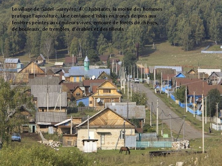 Le village de Gadel-Gareyéro, 400 habitants, la moitié des hommes pratique l’apiculture. Une centaine