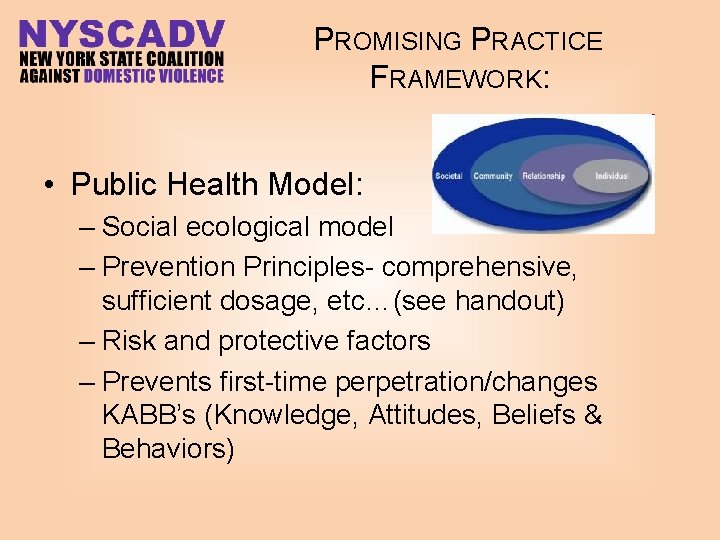 PROMISING PRACTICE FRAMEWORK: • Public Health Model: – Social ecological model – Prevention Principles-
