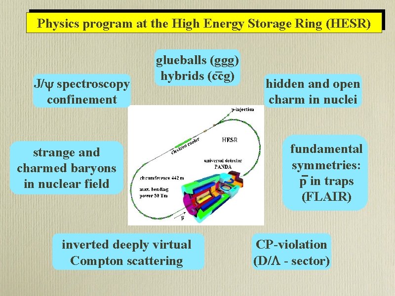 Physics program at the High Energy Storage Ring (HESR) J/ spectroscopy confinement glueballs (ggg)