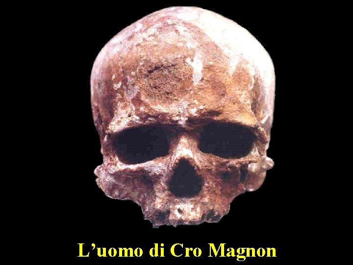 L’uomo di Cro Magnon 