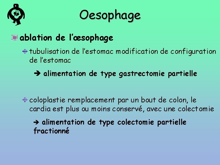 Oesophage ablation de l’œsophage tubulisation de l’estomac modification de configuration de l’estomac alimentation de