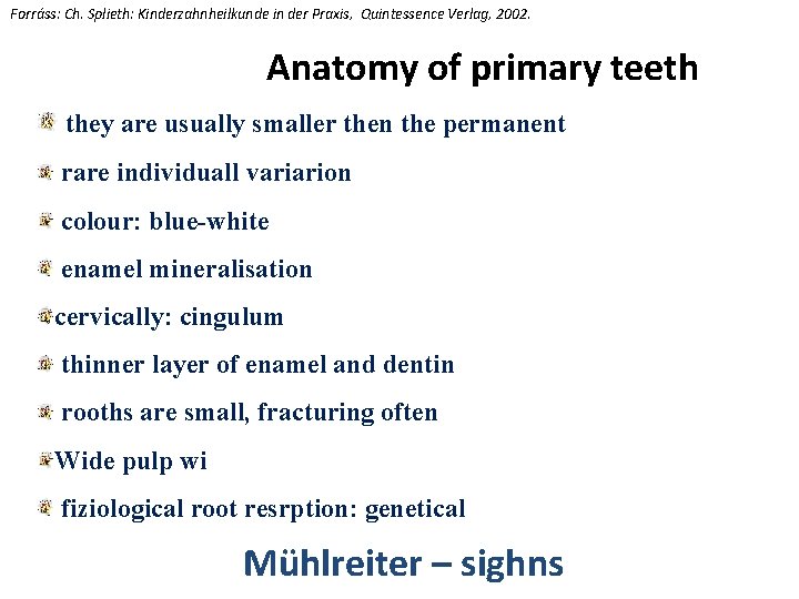 Forráss: Ch. Splieth: Kinderzahnheilkunde in der Praxis, Quintessence Verlag, 2002. Anatomy of primary teeth