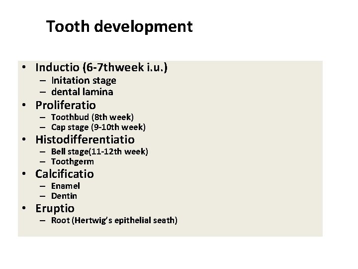 Tooth development • Inductio (6 -7 thweek i. u. ) – Initation stage –