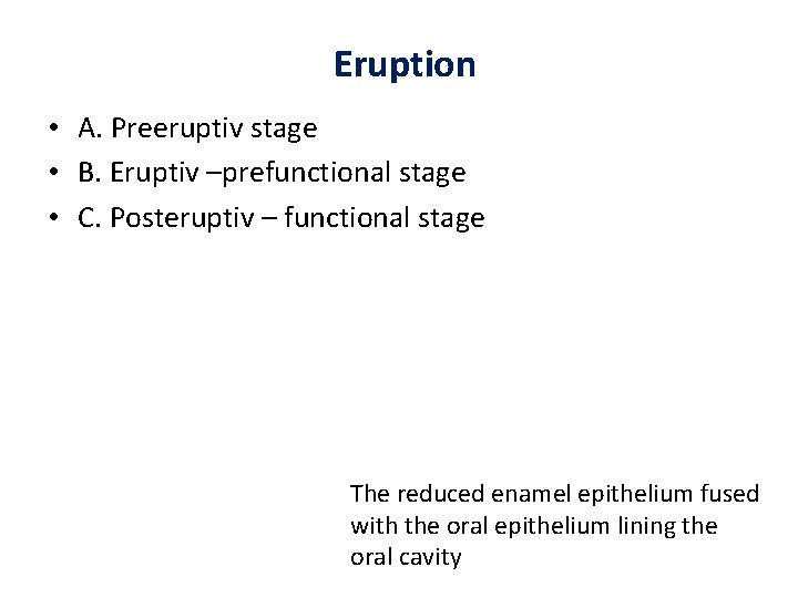 Eruption • A. Preeruptiv stage • B. Eruptiv –prefunctional stage • C. Posteruptiv –