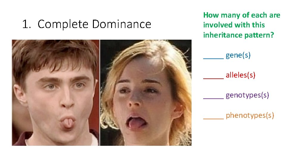 1. Complete Dominance How many of each are involved with this inheritance pattern? _____
