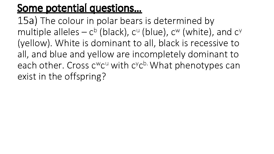 Some potential questions… 15 a) The colour in polar bears is determined by multiple