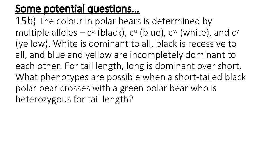 Some potential questions… 15 b) The colour in polar bears is determined by multiple