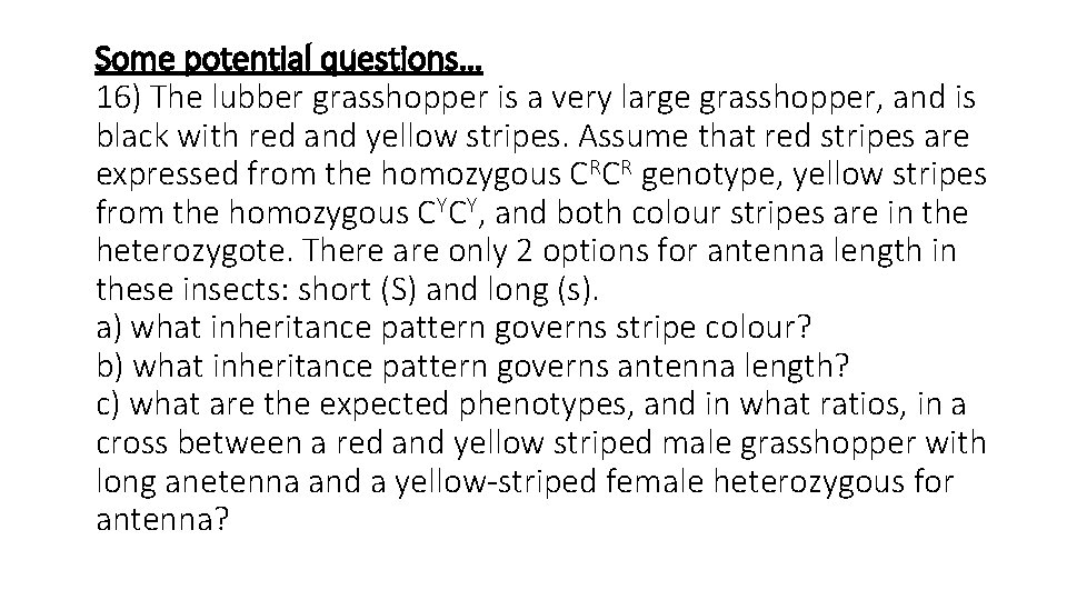 Some potential questions… 16) The lubber grasshopper is a very large grasshopper, and is