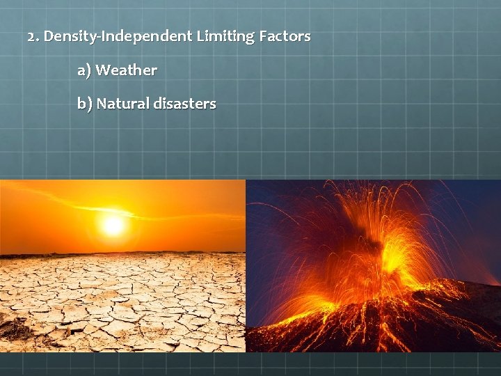 2. Density-Independent Limiting Factors a) Weather b) Natural disasters 