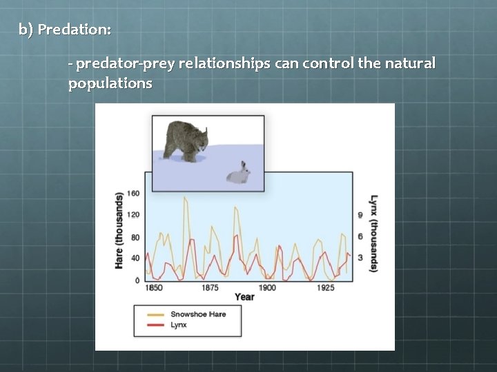 b) Predation: - predator-prey relationships can control the natural populations 