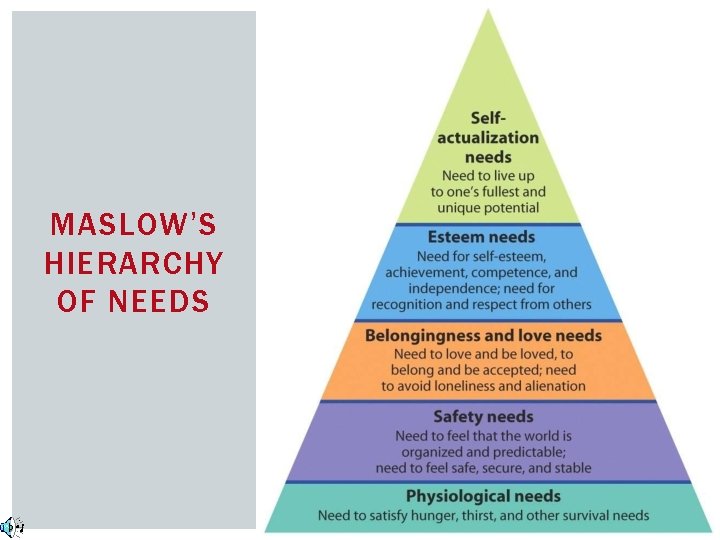 MASLOW’S HIERARCHY OF NEEDS 