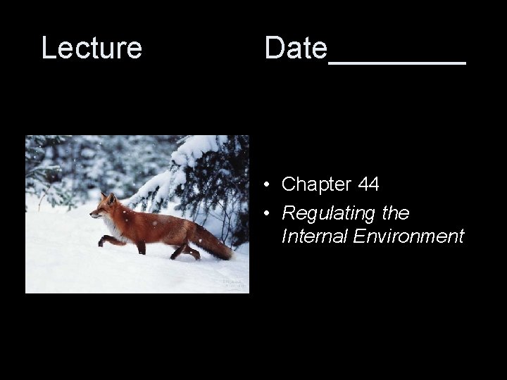 Lecture Date____ • Chapter 44 • Regulating the Internal Environment Lecture Date____ • Chapter 44 • Regulating the Internal Environment