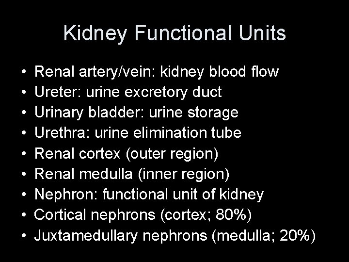 Kidney Functional Units • • • Renal artery/vein: kidney blood flow Ureter: urine excretory Kidney Functional Units • • • Renal artery/vein: kidney blood flow Ureter: urine excretory