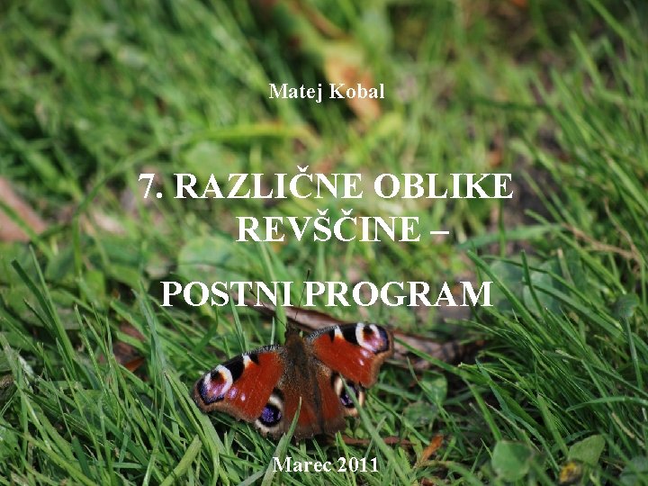 Matej Kobal 7. RAZLIČNE OBLIKE REVŠČINE – POSTNI PROGRAM Marec 2011 