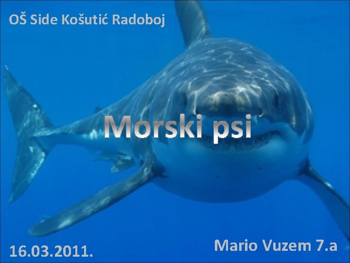 OŠ Side Košutić Radoboj 16. 03. 2011. Mario Vuzem 7. a 