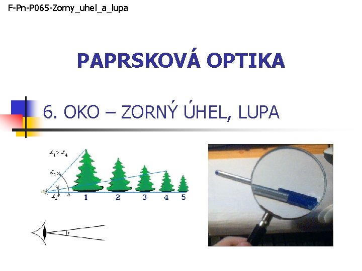 F-Pn-P 065 -Zorny_uhel_a_lupa PAPRSKOVÁ OPTIKA 6. OKO – ZORNÝ ÚHEL, LUPA 