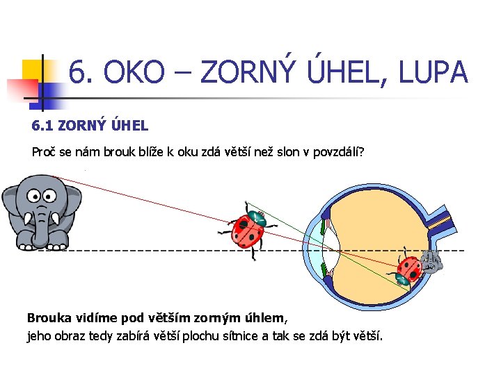 6. OKO – ZORNÝ ÚHEL, LUPA 6. 1 ZORNÝ ÚHEL Proč se nám brouk