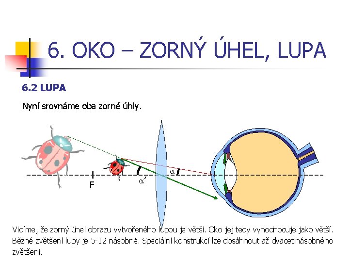 6. OKO – ZORNÝ ÚHEL, LUPA 6. 2 LUPA Nyní srovnáme oba zorné úhly.