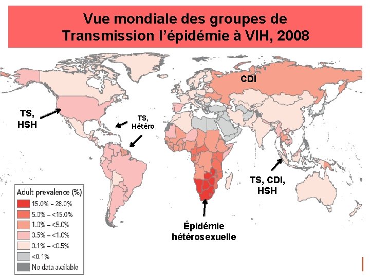 Vue mondiale des groupes de Transmission l’épidémie à VIH, 2008 CDI TS, HSH TS,