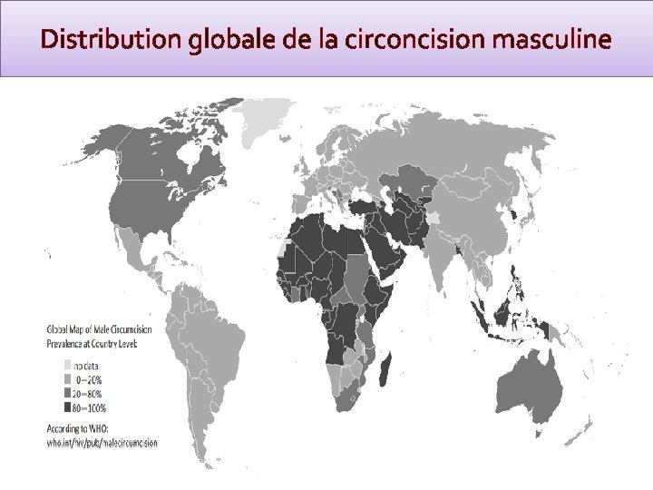 Distribution globale de la circoncision masculine 