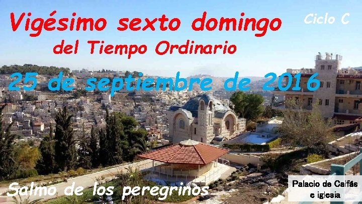 Vigésimo sexto domingo Ciclo C del Tiempo Ordinario 25 de septiembre de 2016 Salmo