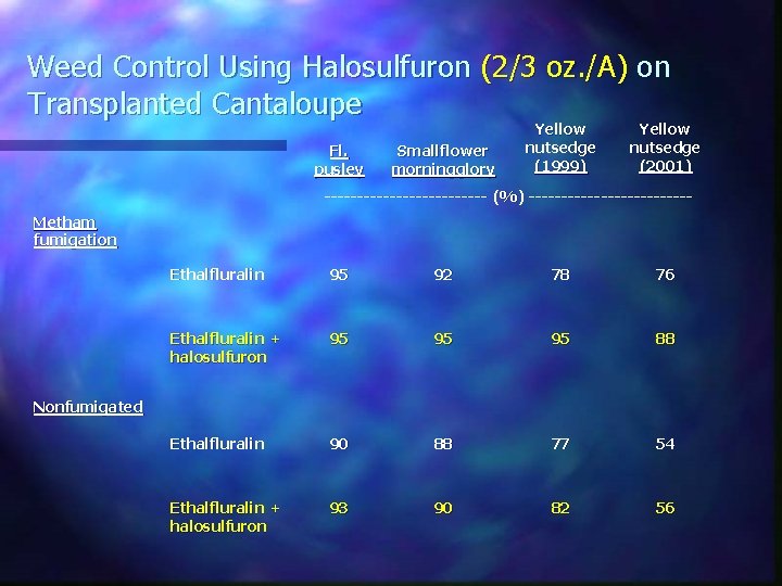 Weed Control Using Halosulfuron (2/3 oz. /A) on Transplanted Cantaloupe Fl. pusley Smallflower morningglory