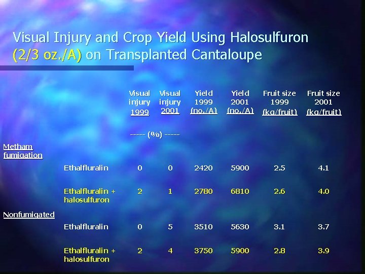 Visual Injury and Crop Yield Using Halosulfuron (2/3 oz. /A) on Transplanted Cantaloupe Visual