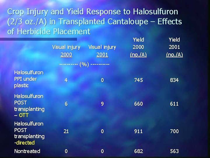 Crop Injury and Yield Response to Halosulfuron (2/3 oz. /A) in Transplanted Cantaloupe –