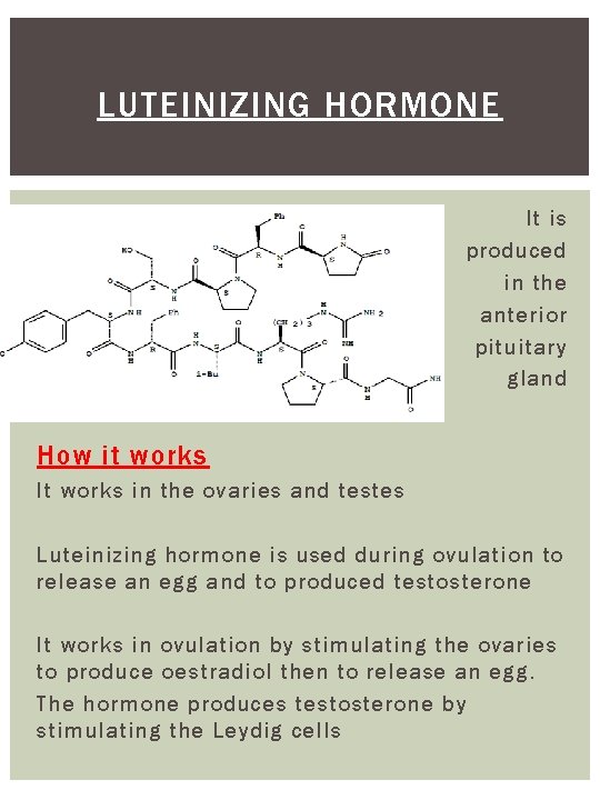 LUTEINIZING HORMONE It is produced in the anterior pituitary gland How it works It