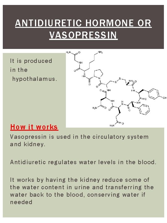ANTIDIURETIC HORMONE OR VASOPRESSIN It is produced in the hypothalamus. How it works Vasopressin