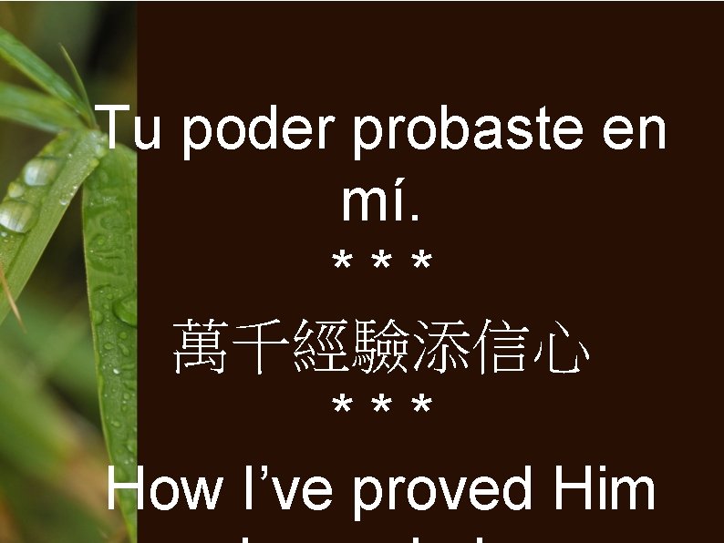 Tu poder probaste en mí. *** 萬千經驗添信心 *** How I’ve proved Him 