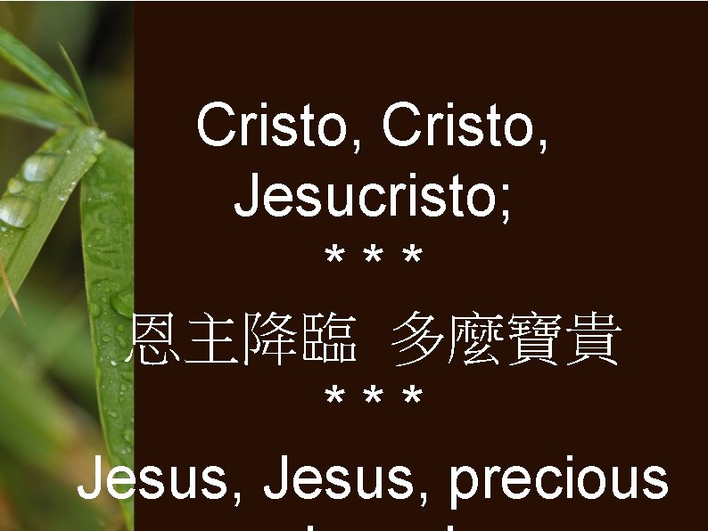 Cristo, Jesucristo; *** 恩主降臨 多麼寶貴 *** Jesus, precious 
