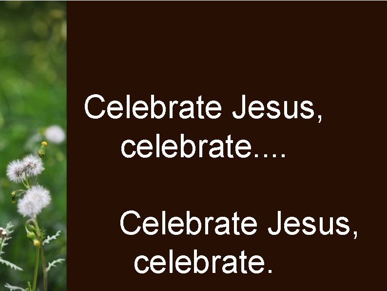 Celebrate Jesus, celebrate. 