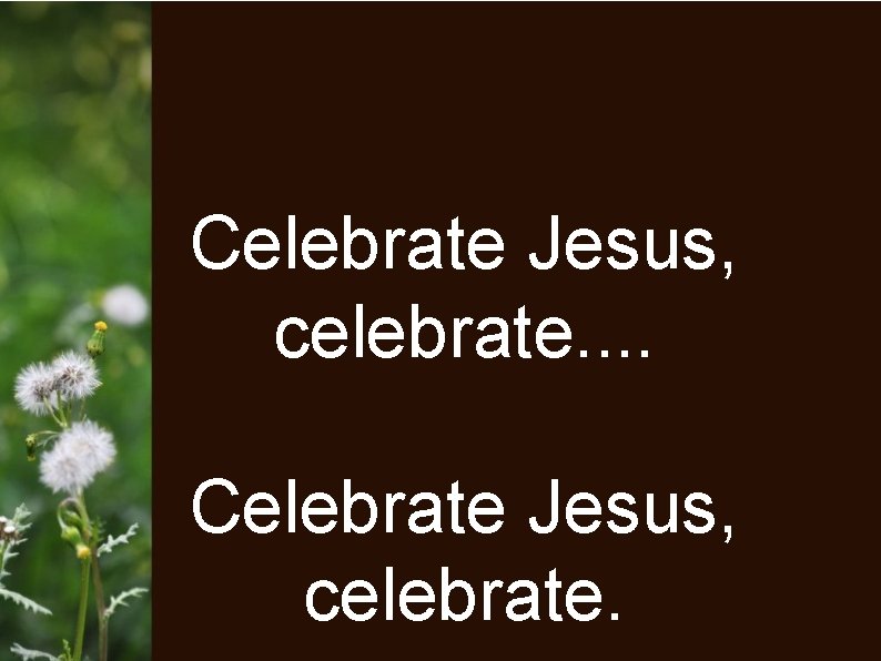 Celebrate Jesus, celebrate. 