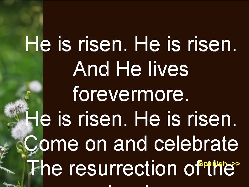 He is risen. And He lives forevermore. He is risen. Come on and celebrate
