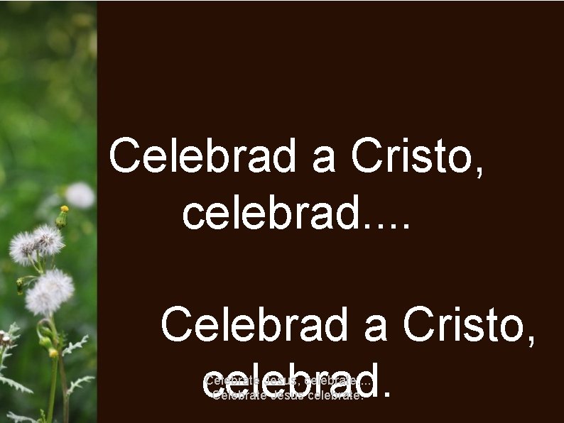 Celebrad a Cristo, celebrad. Celebrate Jesus, celebrate. . Celebrate Jesus celebrate. 