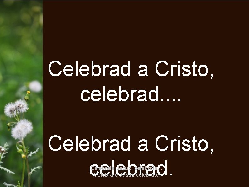 Celebrad a Cristo, celebrad. Celebrate Jesus, celebrate. . Celebrate Jesus celebrate. 