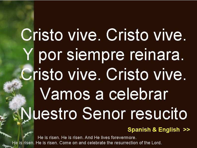 Cristo vive. Y por siempre reinara. Cristo vive. Vamos a celebrar Nuestro Senor resucito