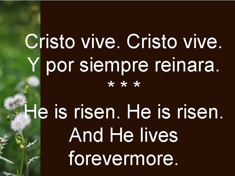 Cristo vive. Y por siempre reinara. *** He is risen. And He lives forevermore.