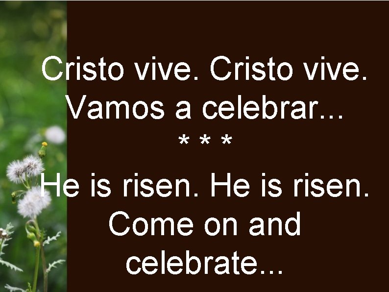 Cristo vive. Vamos a celebrar. . . *** He is risen. Come on and