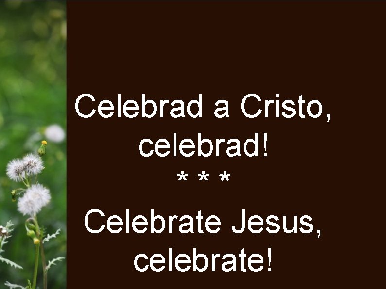 Celebrad a Cristo, celebrad! *** Celebrate Jesus, celebrate! 