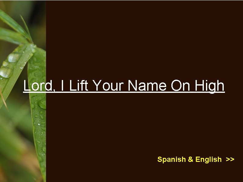 Lord, I Lift Your Name On High Spanish & English >> 