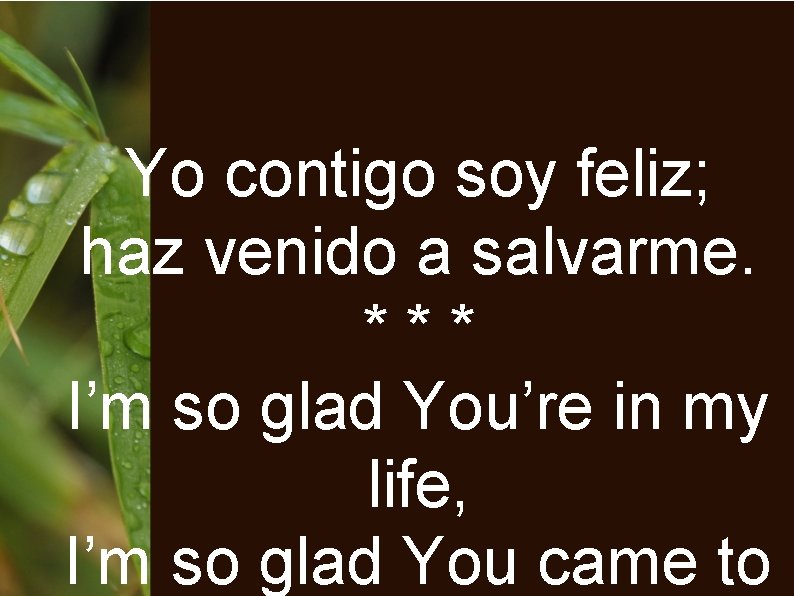 Yo contigo soy feliz; haz venido a salvarme. *** I’m so glad You’re in