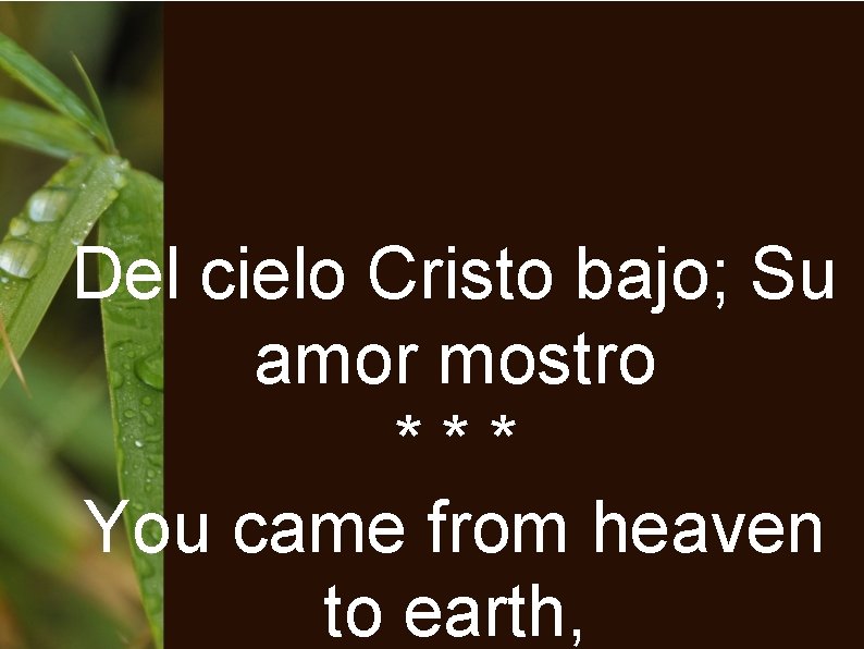 Del cielo Cristo bajo; Su amor mostro *** You came from heaven to earth,