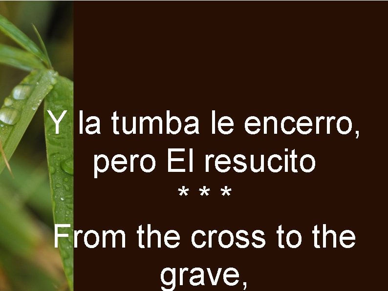 Y la tumba le encerro, pero El resucito *** From the cross to the