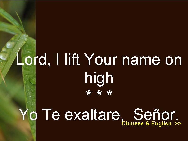 Lord, I lift Your name on high *** Yo Te exaltare, Señor. Chinese &