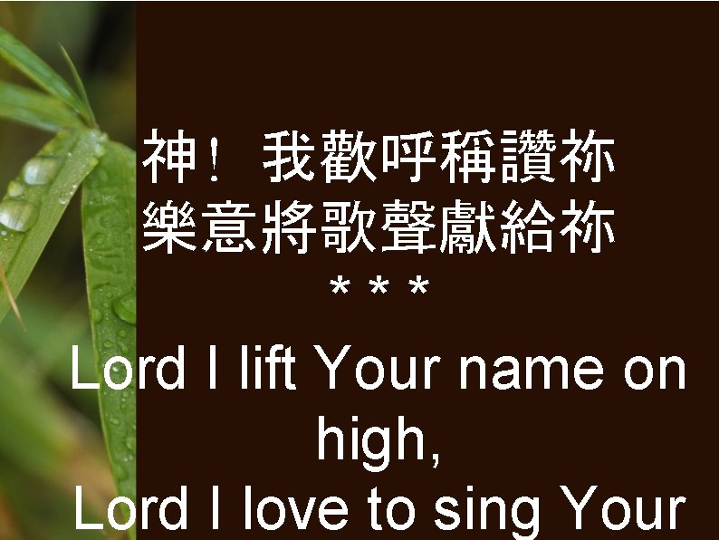 神! 我歡呼稱讚祢 樂意將歌聲獻給祢 *** Lord I lift Your name on high, Lord I love