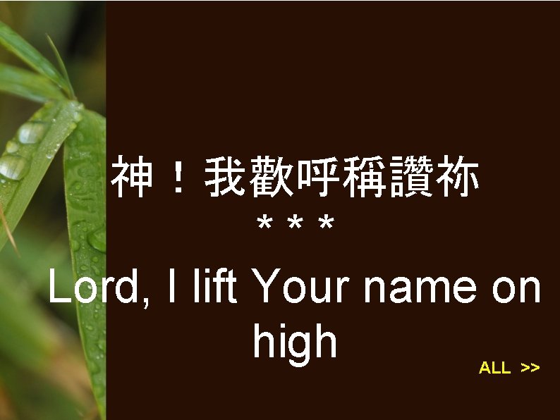 神！我歡呼稱讚祢 *** Lord, I lift Your name on high ALL >> 