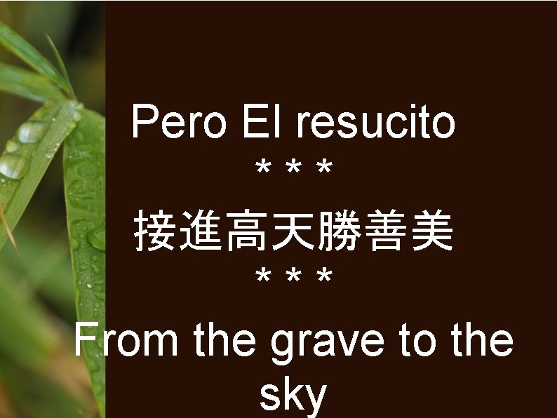 Pero El resucito *** 接進高天勝善美 *** From the grave to the sky 